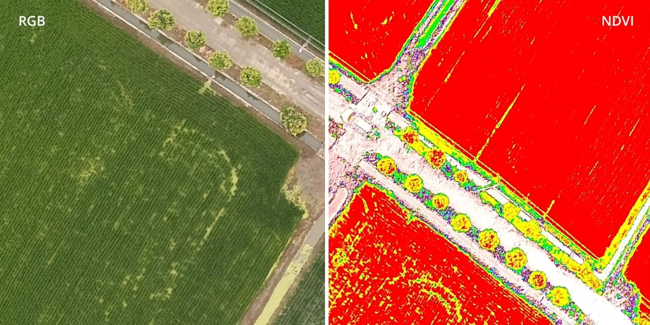 RGB i NDVI snimak dronom.